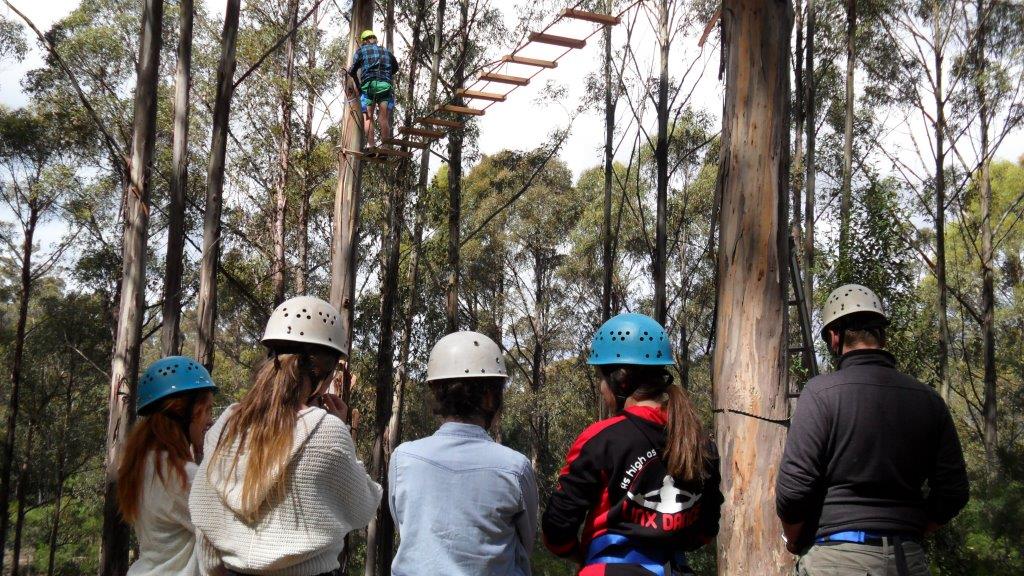 Fusion High Ropes